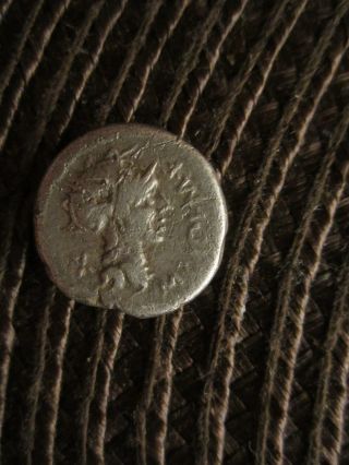 Roman Republican Ar16 Roma / Bitutius Or God/goddess (porcius Coin?) photo