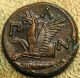 Panticapaeum: An 111 C310 Bc Bearded Satyr / Griffin,  Tetrachalkon Coins: Ancient photo 1