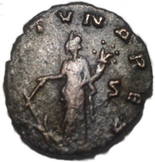 Ancient Roman Bronze Coin Gallienus 253 - 260 Ad photo