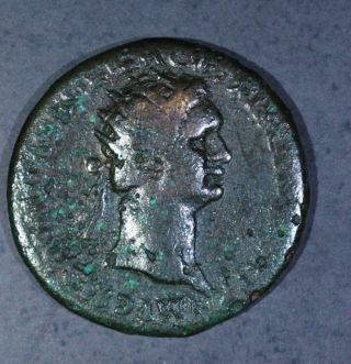Roman Bronze Dupondius Domitian Coin 12g,  23mm photo