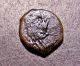 Judean Widow ' S Mite,  Ca 100 Bc,  Double Cornucopiae,  Roman Republic Coin Coins: Ancient photo 1
