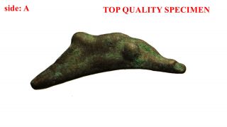 32: Black Sea :olbia,  Sarmaia - Cast Bronze Dolphin Money : 5th - 4th Cent Bc photo