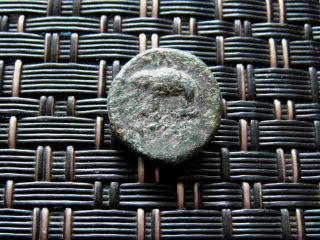 Seleucid Kingdom - Antiochus Iii 223 - 187 Bc 