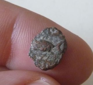 Unknown Unidentified Ancient Coin Fish And Eagle? Bronze Coin Ae12 photo