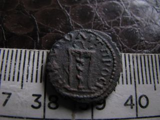 Unusual Little Ancient Roman Coin,  Unresearched,  Snake/serpent Around Tripod Rev photo