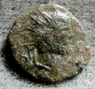 Divo Claudius Ii Gothicus 268 - 270 A.  D. ,  Æ Antoninianus,  Eagle Rev. photo