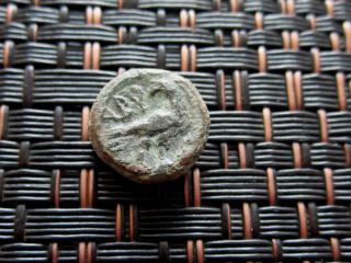 Ancient Greek Bronze Coin Unknown Bird Very Interesting / 11mm photo