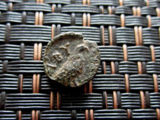 Ancient Greek Bronze Coin Unknown Bird Very Interesting / 11mm photo