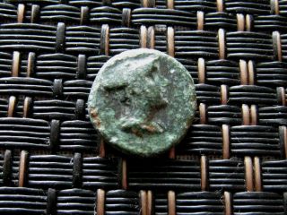 Greek City Of Lysimacheia In Thrace 309 - 281 Bc Ae10 Athena / 