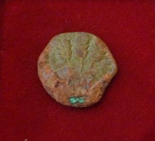 Biblical Era Herodians Agrippa I (ad 41 - 42) Dated Ry6.  Canopy / Grains Æ Prutah photo