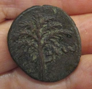 Ancient Jewish Coin Bar Kochba 2nd Revolt 132 - 135 Ce photo