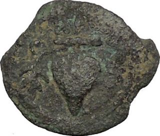 Herod Archelaus Son Of The Great Jewish Biblical Jerusalem Ancient Coin I36296 photo