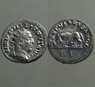 Philip I (the Arab) Silver Antoninianus_she - Wolf Twins photo