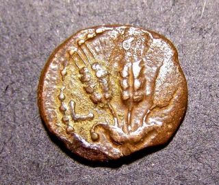 Herod Agrippa I,  Judaean King Who Jailed Peter,  Jerusalem,  44 Ad,  Roman Coin photo