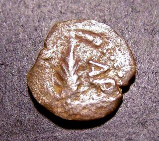 Porcius Festus,  Judaean Procurator Under Nero,  62 Ad,  Palm Branch,  Roman Coin photo