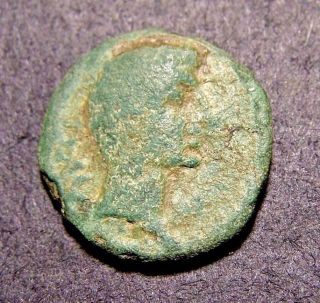 Augustus Caesar,  Colonists Resettle 1st Cent.  Bc Philippi,  Imperial Roman Coin photo