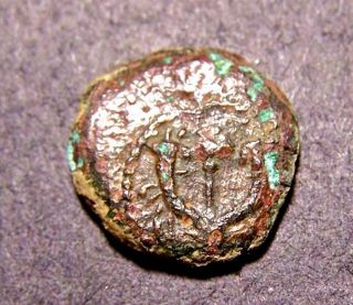 John Hyrcanus I,  2nd Cent Bc Maccabee,  Judean Widow ' S Mite Coin,  Cornucopiae photo