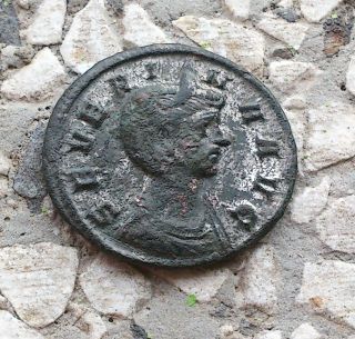 Severina Denarius Rome Ancient Roman Bronze Coin Rare Coin photo