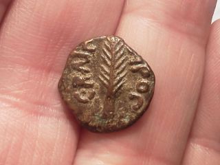 Coin Of Porcius Festus Procurator Of Judaea Under Nero,  59 - 62 Ad,  Prutah photo