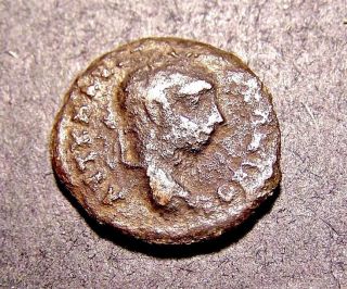 Elagabalus,  Snake Worship @ Altar In 3rd Cent.  Ad Bulgaria,  Imperial Roman Coin photo