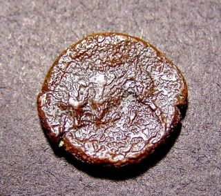Agathokles,  Sicilian King Of Syracuse,  317 - 289 Bc,  Butting Bull,  Greek Coin photo