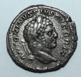 Roman Silver Denarius Of Caracella photo