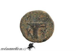 Rare Ptolemy V Epiphanes Coin Ae 11 photo