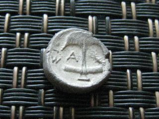 Thrace,  Apollonia Pontika Greek Silver Coin Ar Diobol 400 - 350 Bc photo