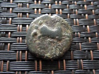 Maroneia 400 Bc Ancient Greek Coin Horse Grapes / 16mm photo