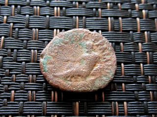 Provincial Roman Coin Of Lucius Verus 161 - 169 Ad Of Augusta Traiana,  Thrace. photo