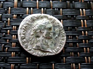 Silver - Fouree Ar Denarius Domitian 69 - 81 Ad Minerva Cos Xiiii Ancient Roman Coin photo