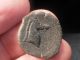 Zeugitana,  Carthage.  Circa 325 - 275 Bc.  Horse & Very Fine Palm 7.  74 G,  21 Mm. Coins: Ancient photo 1