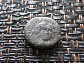 Ancient Greek Bronze Coin Unknown Bird Very Interesting / 15mm photo