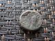 Ancient Greek Bronze Coin Unknown Bird Very Interesting / 15mm Coins: Ancient photo 1