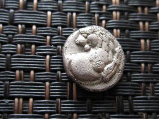 Chersonesos In Thrace 386 - 338 Bc Hemidrachm Ancient Greek Silver Coin Lion photo