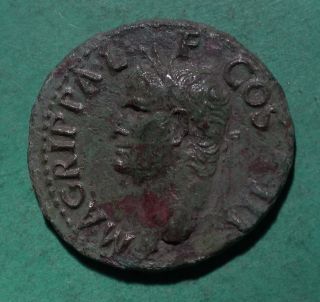 Tater Roman Imperial Ae As Coin Of Agrippa Neptvne photo
