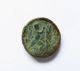 Macedonian Kingdom,  Antigonos Gonatas,  Ae 19mm 277 - 239 Bc Coins: Ancient photo 1