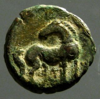 Carthage Zeugitana Ae22_head Of Tanit_horse Looking Back photo