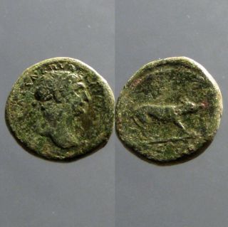 Trajan Bronze Ae Quadrans_marcus Ulpius Nerva Traianus_she - Wolf photo