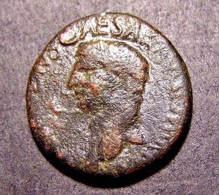 Claudius,  Emperor ' S Perseverance In 54 A.  D. ,  Bronze Imperial Roman Coin photo