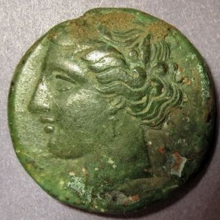 Ancient Greek Coin Sicily Syracuse,  Hieron Ii Æ Hemilitron 275 Bc photo