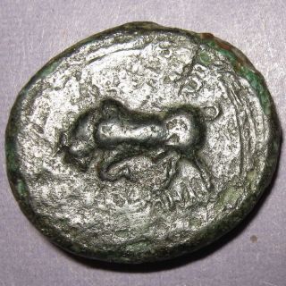 Greek Ionia Magnesia Ad Maeandrum Æ Dichalkon 350 - 325 Bc Leukippos Riding / Bull photo