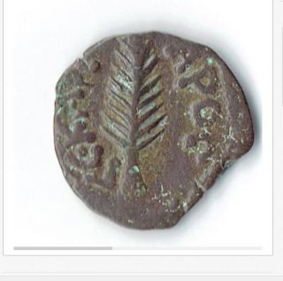 Nero Yr 5,  Porcius Festus,  Procurator Of Judaea,  H 1351 A Beauty Biblical/judean photo