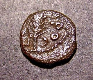 Porcius Festus,  Judaean Procurator Under Nero,  62 Ad,  Barley Ear,  Roman Coin photo