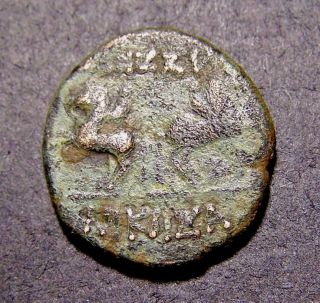Ancient Roman Republic Provincial Coin,  2 Horsemen & Janus In 88 Bc Thessalonica photo