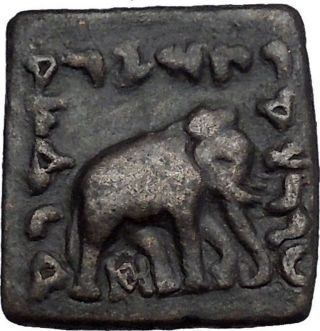 Greek Kings Of India Lysias Anicetus 120bc Hercules Elephant Ancient Coin I44655 photo