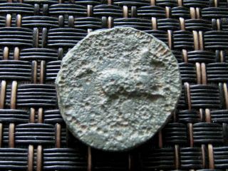 Ancient Greek - Philip Ii Macedonian King Heal Apollo Rare Greek Coin / 4,  67gr photo