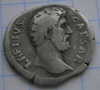 Aelius Rare Denarius Pietas photo