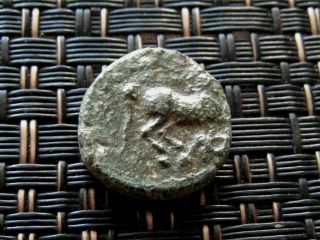 Maroneia 400 Bc Ancient Greek Coin Horse Grapes / 15mm photo