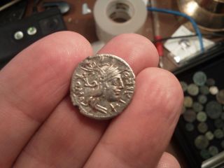 Fouree Silver Denarius Of Roman Republic Fabius Labeo 124bc photo